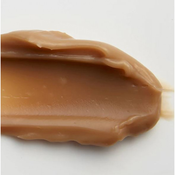 BLITHE Прессованная сыворотка-крем с экстрактом гриба чага для упругости кожи Pressed Serum Tundra Chaga (22 мл)