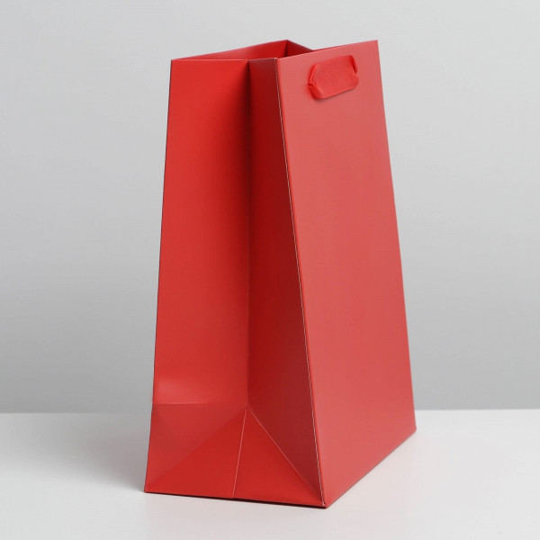 Пакет ламинированный «Красный», MS 18 × 23 × 10 см 