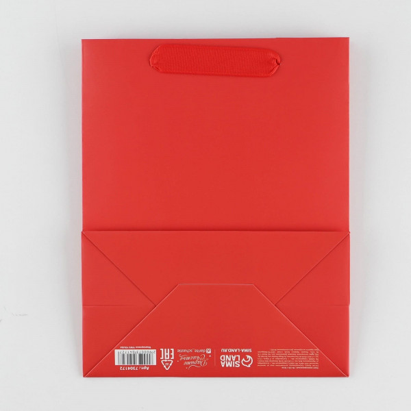 Пакет ламинированный «Красный», MS 18 × 23 × 10 см 