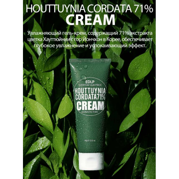DERMA FACTORY Увлажняющий крем для лица с экстрактом цветка хауттюйнии Houttuynia Cordata 71% Cream (60 г)