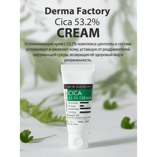 DERMA FACTORY Увлажняющий крем для лица с экстрактом центеллы Cica 53.2% Cream (30 г)